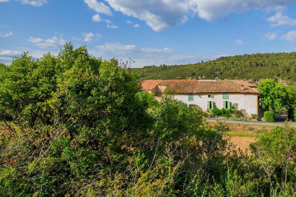 Le Pech Merle Yourhosthelper Saint-Jean-de-Minervois Exteriör bild